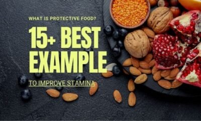 What is Protective Food? 15+ Best examples To Improve Stamina